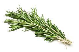 Rosemary Olive Oil